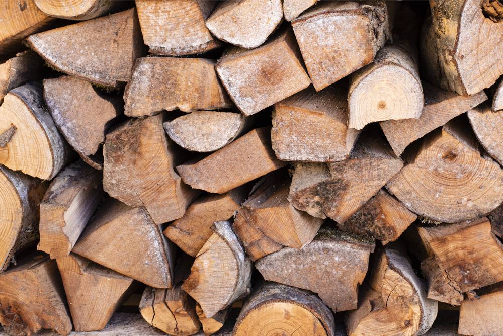 Legna da Ardere Fresca – Faggio 33 cm | Bancale 100×100×180